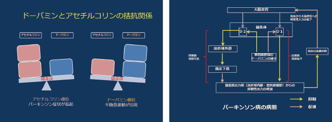 パーキンソン病の理学療法～パーキンソン病の基本と歩行障害への対応～【全2巻】