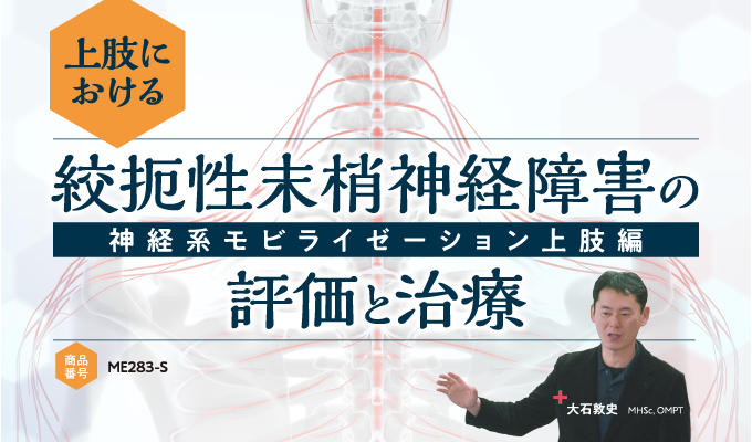 上肢における絞扼性末梢神経障害の評価と治療～神経系