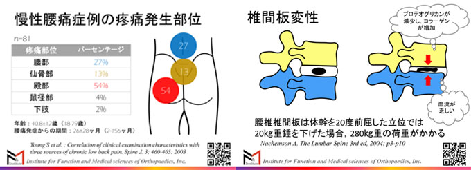機能解剖学に基づいた腰痛の評価と治療【DVD3枚組・分売不可】 機能